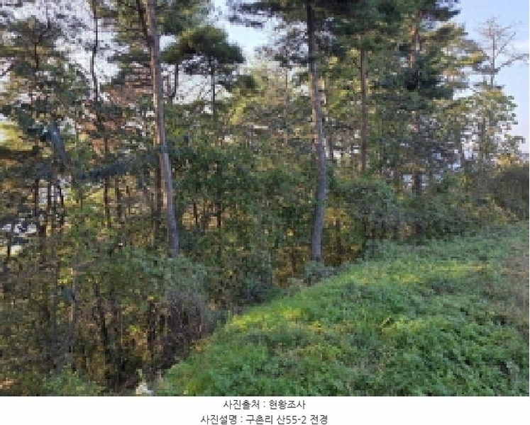 2025타경967 경상북도 청도군 매전면 구촌리 산7 임야 경매 이미지