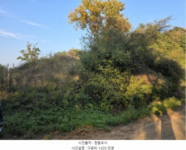 2025타경967 경상북도 청도군 매전면 구촌리 산7 임야 경매 이미지