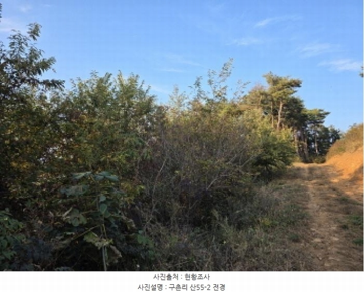 2025타경967 경상북도 청도군 매전면 구촌리 산7 임야 경매 이미지