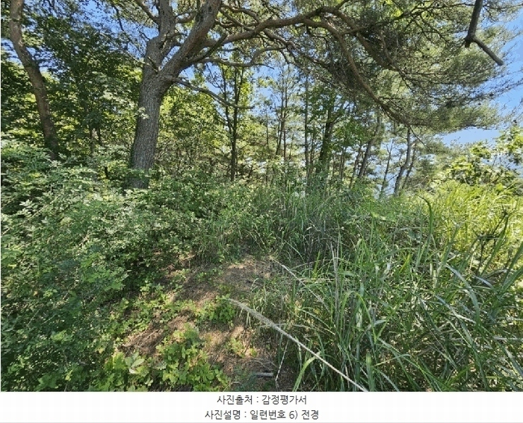 2025타경967 경상북도 청도군 매전면 구촌리 산7 임야 경매 이미지