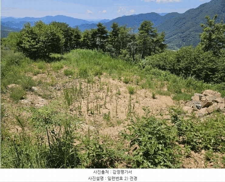2025타경967 경상북도 청도군 매전면 구촌리 산7 임야 경매 이미지