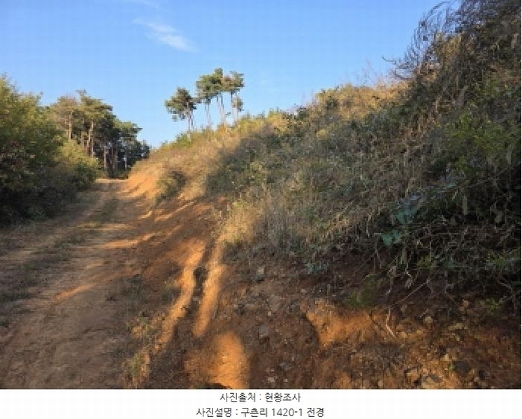 2025타경967 경상북도 청도군 매전면 구촌리 산7 임야 경매 이미지