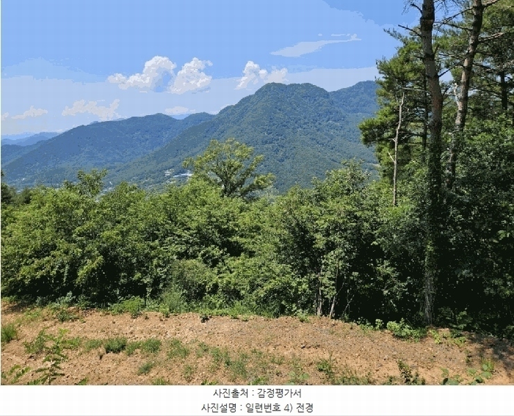 2025타경967 경상북도 청도군 매전면 구촌리 산7 임야 경매 이미지
