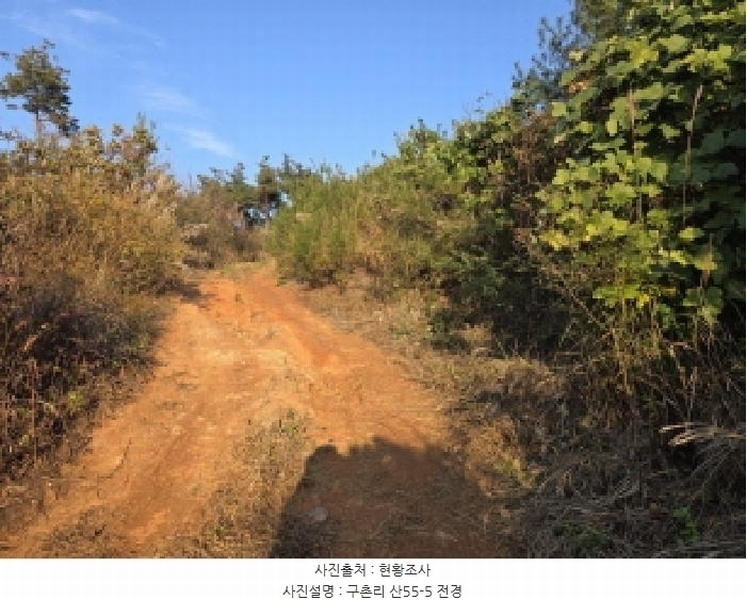 2025타경967 경상북도 청도군 매전면 구촌리 산7 임야 경매 이미지