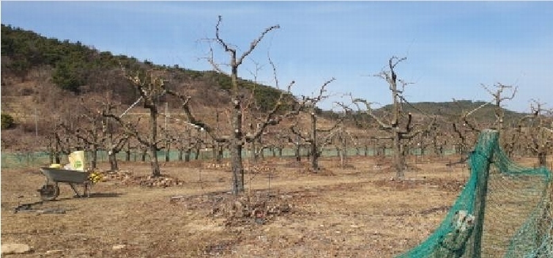 2025타경7292 경상북도 경산시 남산면 조곡리 572 농지 경매 이미지
