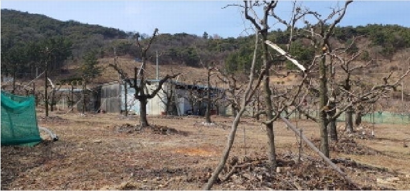 2025타경7292 경상북도 경산시 남산면 조곡리 572 농지 경매 이미지