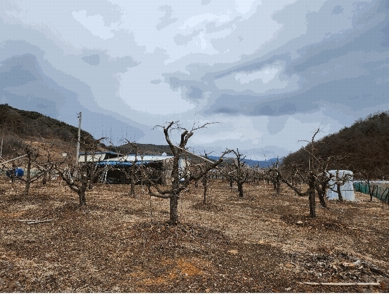 2025타경7292 경상북도 경산시 남산면 조곡리 572 농지 경매 이미지