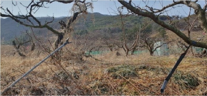 2025타경7292 경상북도 경산시 남산면 조곡리 572 농지 경매 이미지