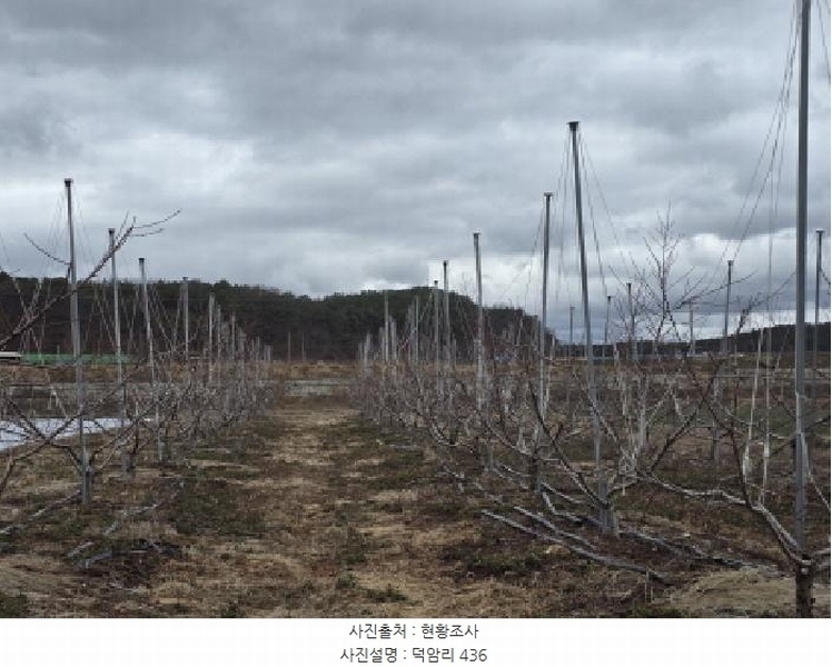 2025타경7367 경상북도 영천시 화산면 덕암리 203-3 농지 경매 이미지