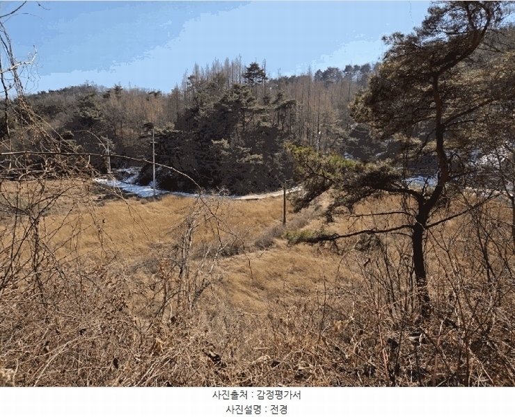 2025타경10020 경상북도 영주시 안정면 단촌리 346 농지 경매 이미지