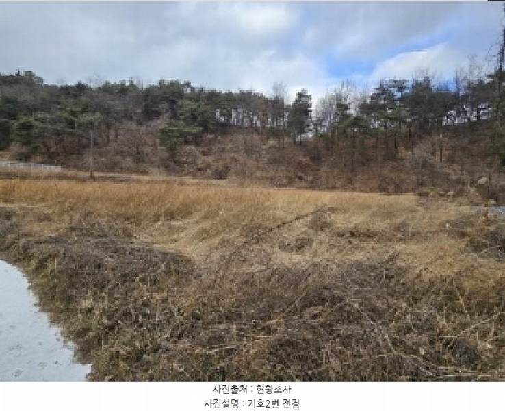 2025타경10020 경상북도 영주시 안정면 단촌리 346 농지 경매 이미지