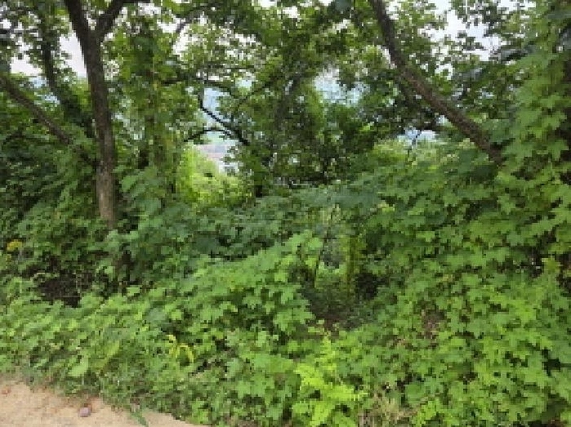 2025타경8266 경상북도 청도군 청도읍 고수리 603-38 농지 경매 이미지