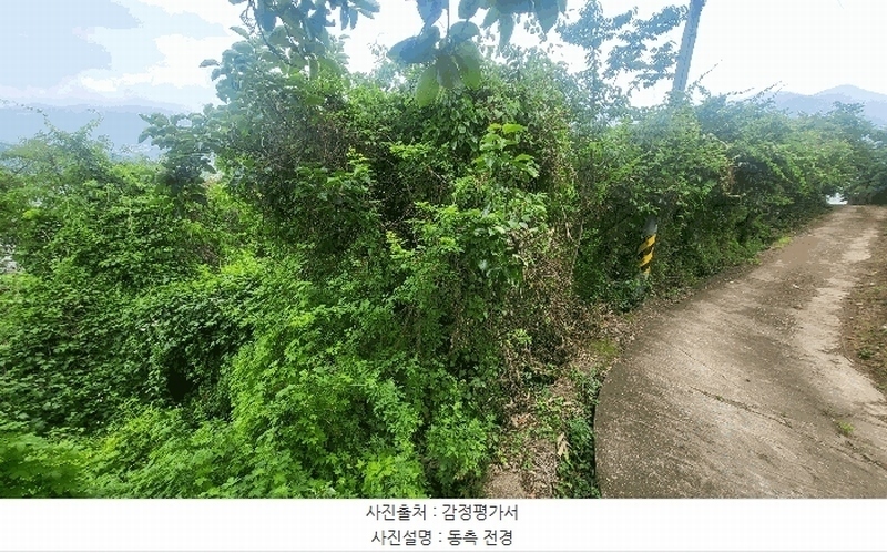 2025타경8266 경상북도 청도군 청도읍 고수리 603-38 농지 경매 이미지
