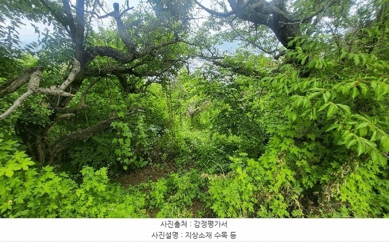 2025타경8266 경상북도 청도군 청도읍 고수리 603-38 농지 경매 이미지