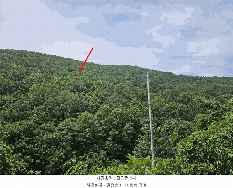 2025타경8356 경상북도 청도군 이서면 문수리 산146 임야 경매 이미지