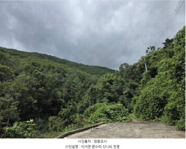 2025타경8356 경상북도 청도군 이서면 문수리 산146 임야 경매 이미지