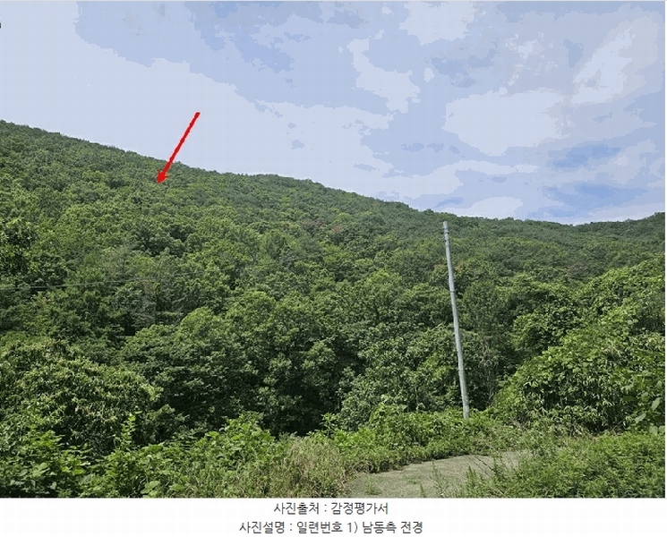 2025타경8356 경상북도 청도군 이서면 문수리 산146 임야 경매 이미지
