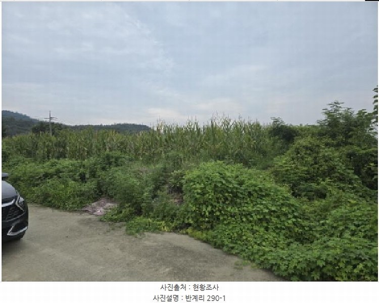 2025타경8616 경상북도 영천시 북안면 반계리 290-1 농지 경매 이미지