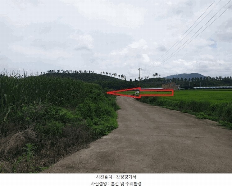 2025타경8616 경상북도 영천시 북안면 반계리 290-1 농지 경매 이미지