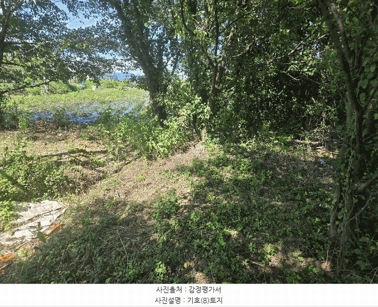 2025타경8828 경상북도 영천시 고경면 단포리 231-2 근린시설 경매 이미지