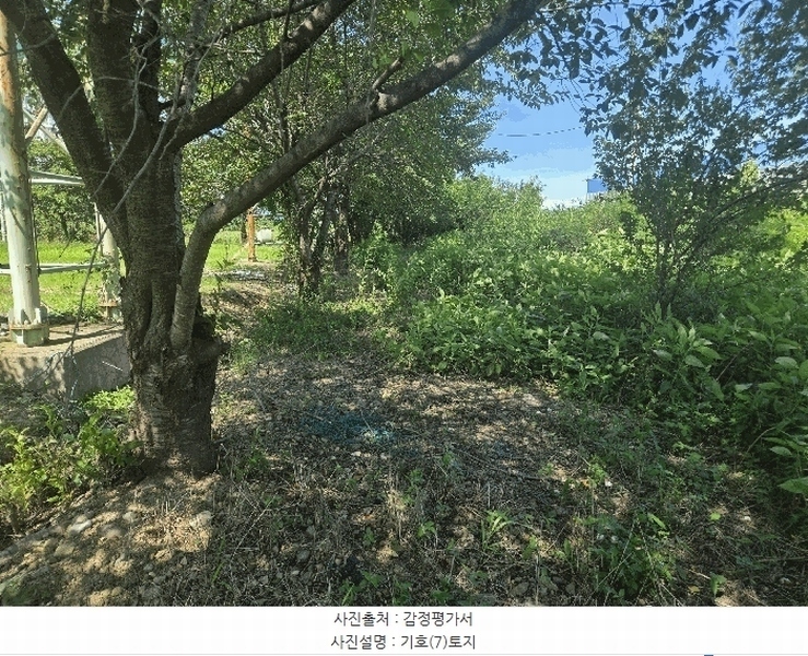 2025타경8828 경상북도 영천시 고경면 단포리 231-2 근린시설 경매 이미지