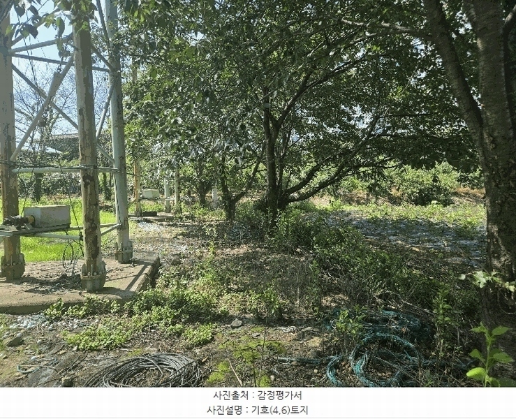 2025타경8828 경상북도 영천시 고경면 단포리 231-2 근린시설 경매 이미지