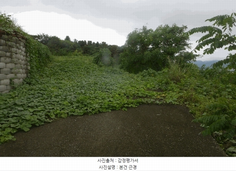 2025타경9028 경상북도 영천시 북안면 도천리 산8-1 임야 경매 이미지