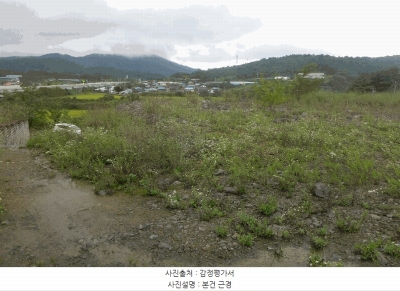 2025타경9028 경상북도 영천시 북안면 도천리 산8-1 임야 경매 이미지
