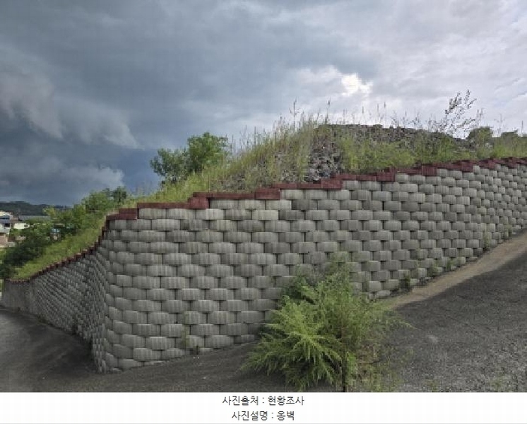 2025타경9028 경상북도 영천시 북안면 도천리 산8-1 임야 경매 이미지