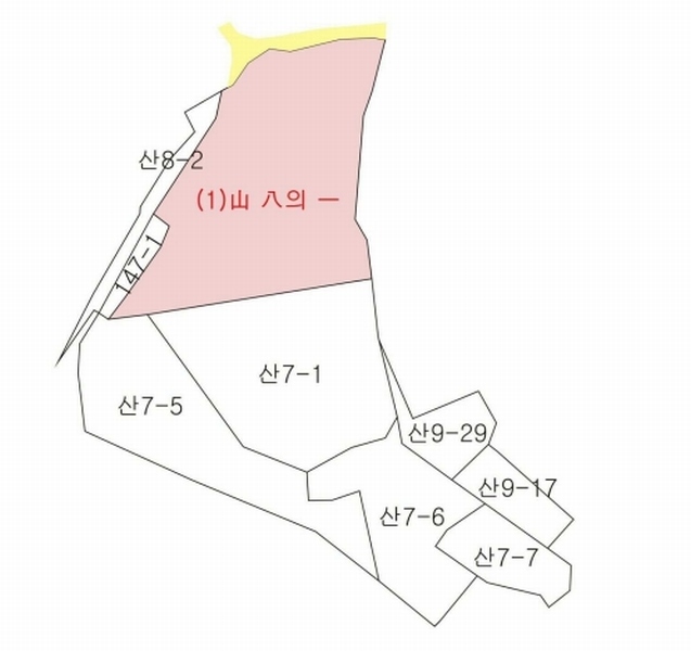 2025타경9028 경상북도 영천시 북안면 도천리 산8-1 임야 경매 이미지