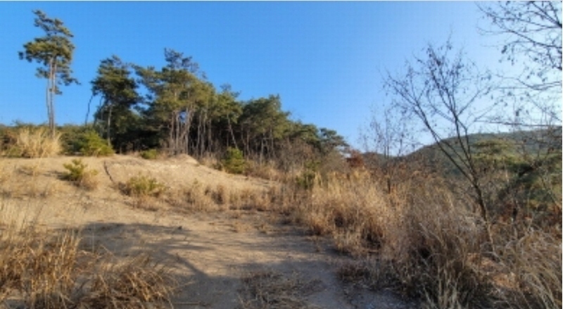 2022타경119237 경상북도 영천시 북안면 원당리 산8-1 임야 경매 이미지