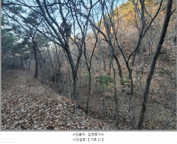 2022타경119237 경상북도 영천시 북안면 원당리 산8-1 임야 경매 이미지