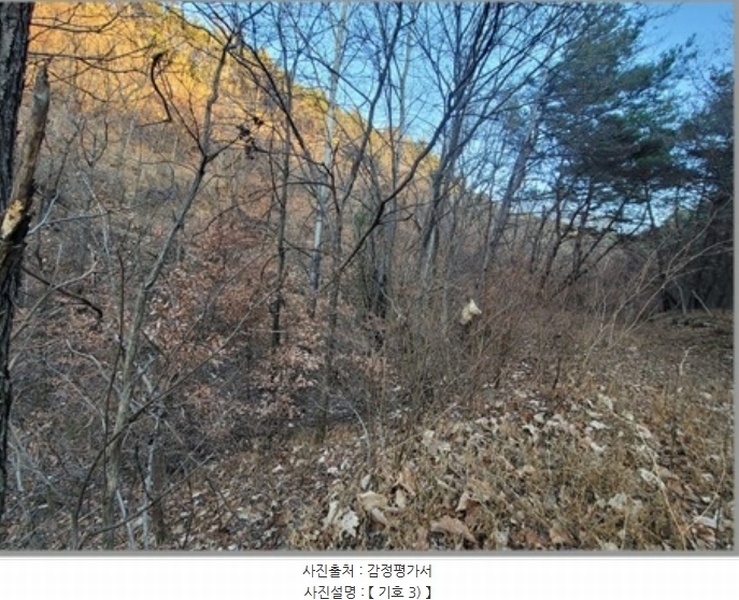 2022타경119237 경상북도 영천시 북안면 원당리 산8-1 임야 경매 이미지