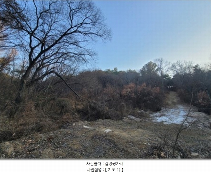 2022타경119237 경상북도 영천시 북안면 원당리 산8-1 임야 경매 이미지