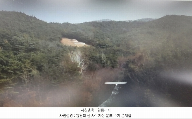 2022타경119237 경상북도 영천시 북안면 원당리 산8-1 임야 경매 이미지