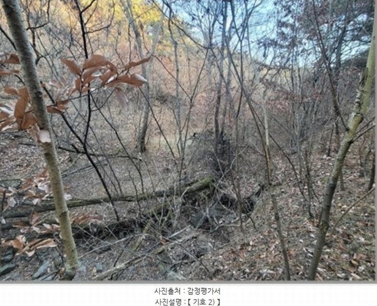 2022타경119237 경상북도 영천시 북안면 원당리 산8-1 임야 경매 이미지