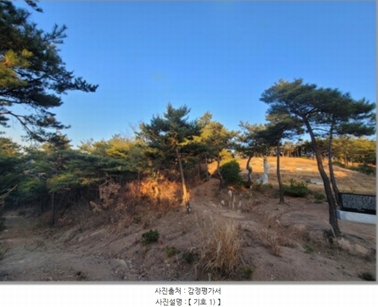 2022타경119237 경상북도 영천시 북안면 원당리 산8-1 임야 경매 이미지