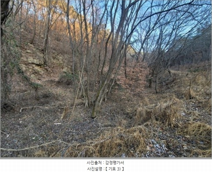 2022타경119237 경상북도 영천시 북안면 원당리 산8-1 임야 경매 이미지