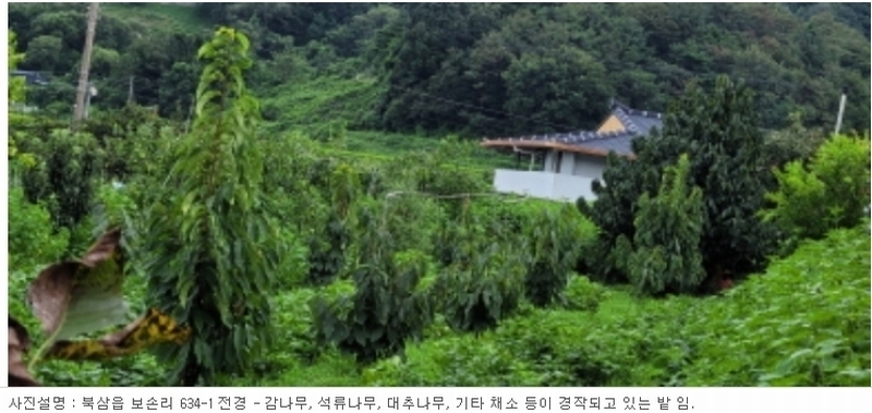 2023타경5564 경상북도 칠곡군 북삼읍 보손리 634-1 농지 경매 이미지