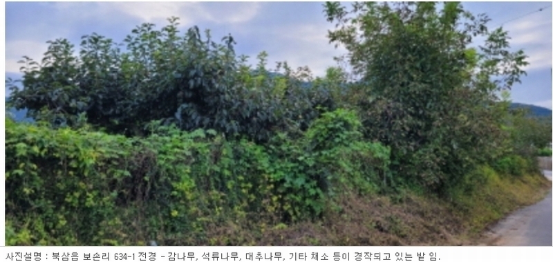 2023타경5564 경상북도 칠곡군 북삼읍 보손리 634-1 농지 경매 이미지