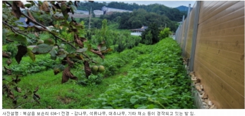 2023타경5564 경상북도 칠곡군 북삼읍 보손리 634-1 농지 경매 이미지