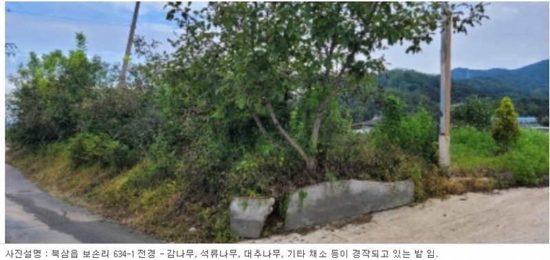 2023타경5564 경상북도 칠곡군 북삼읍 보손리 634-1 농지 경매 이미지