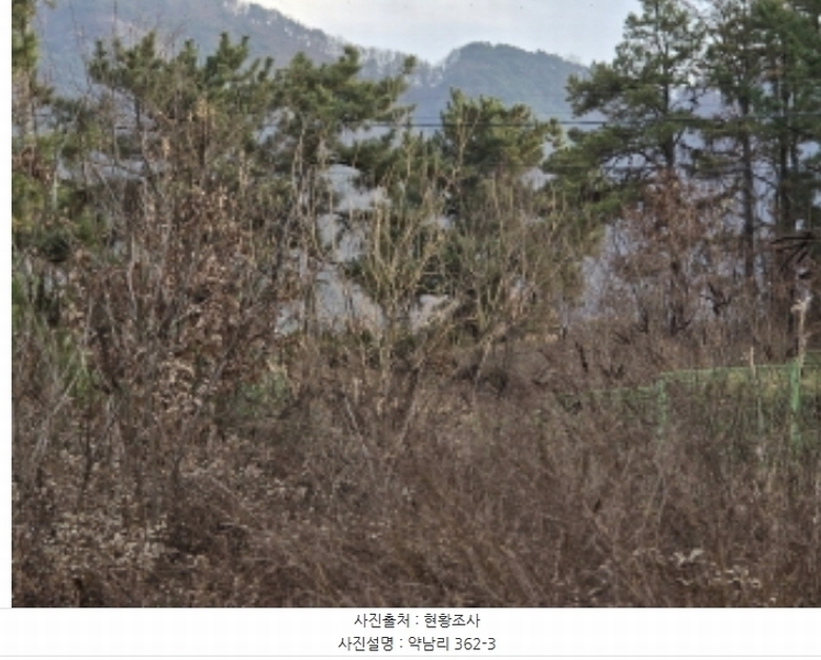 2024타경10662 경상북도 영천시 금호읍 약남리 362-2 공장 경매 이미지