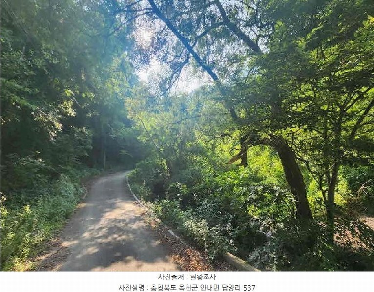 2025타경10163 충청북도 옥천군 안내면 답양리 515 농지 경매 이미지