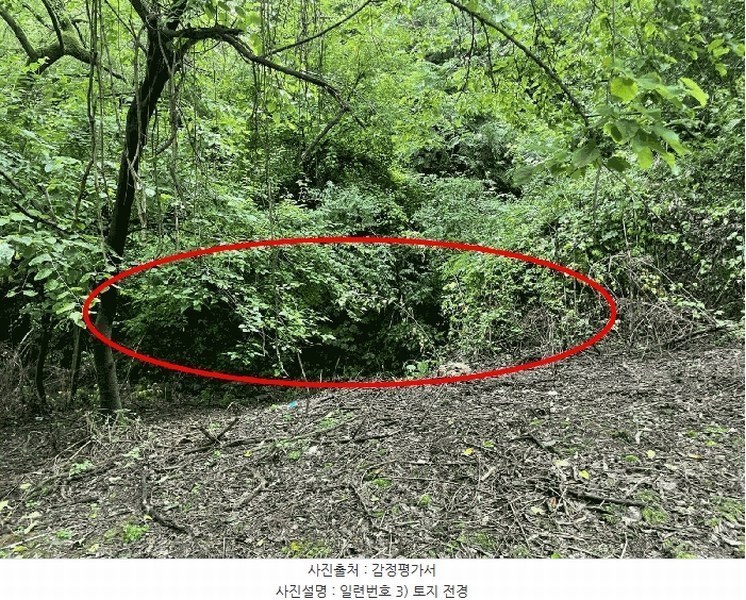 2025타경10163 충청북도 옥천군 안내면 답양리 515 농지 경매 이미지