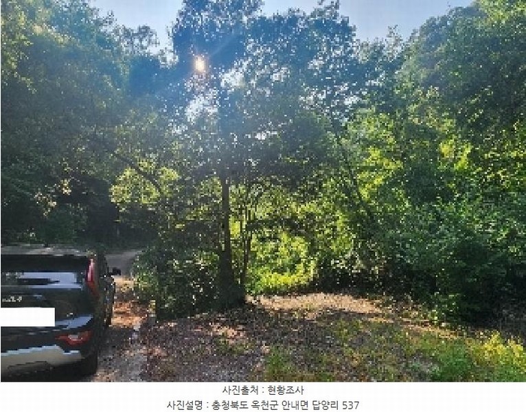 2025타경10163 충청북도 옥천군 안내면 답양리 515 농지 경매 이미지
