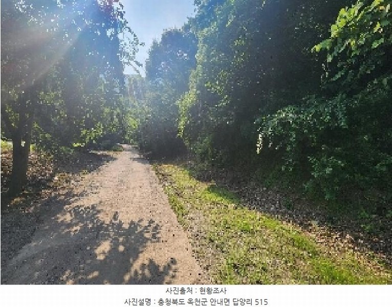 2025타경10163 충청북도 옥천군 안내면 답양리 515 농지 경매 이미지