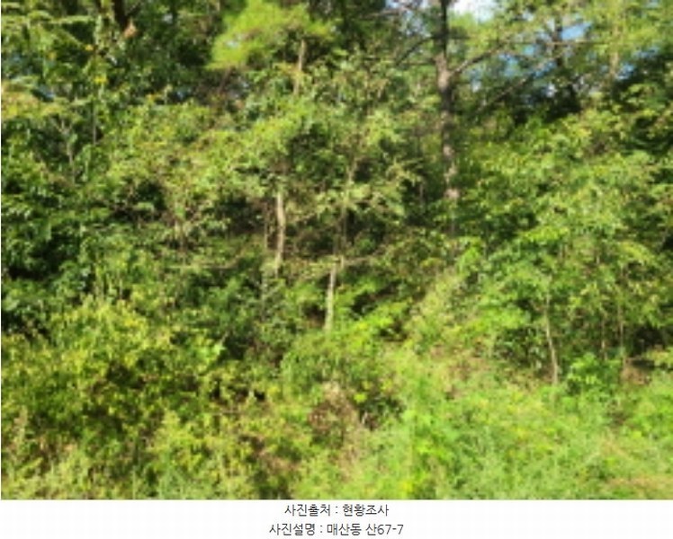 2024타경118825 경상북도 영천시 매산동 산67-7 임야 경매 이미지