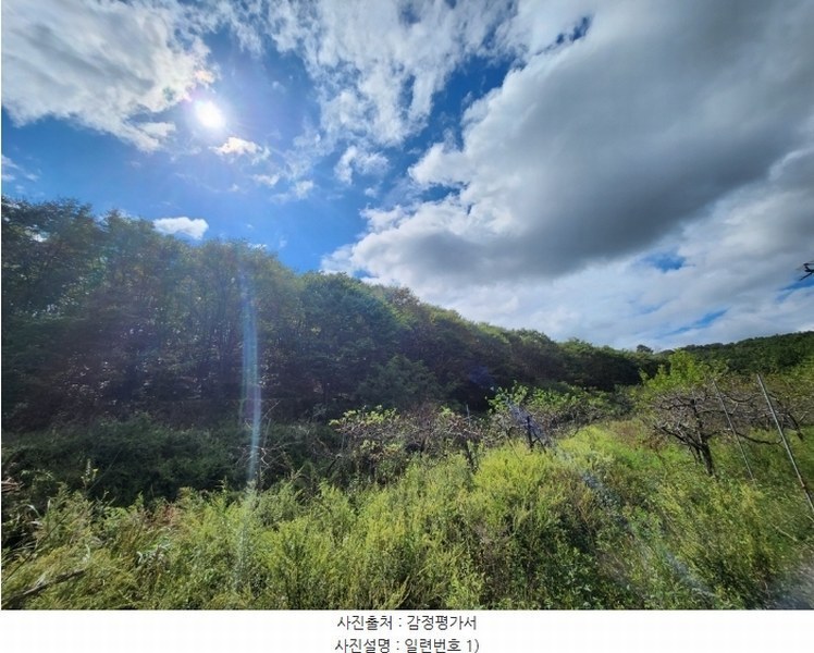 2024타경118825 경상북도 영천시 매산동 산67-7 임야 경매 이미지