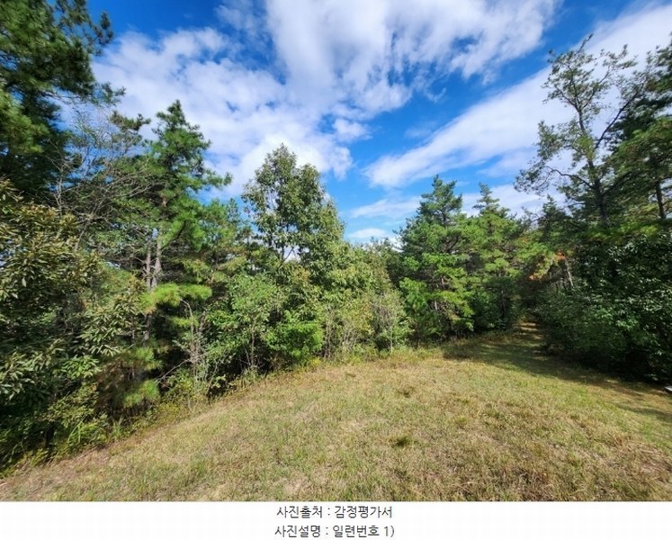 2024타경118825 경상북도 영천시 매산동 산67-7 임야 경매 이미지